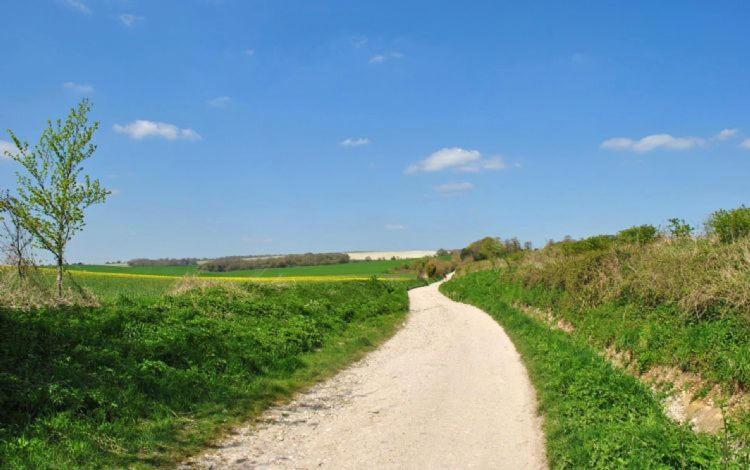 The Run, West Lavant Chichester Exteriér fotografie